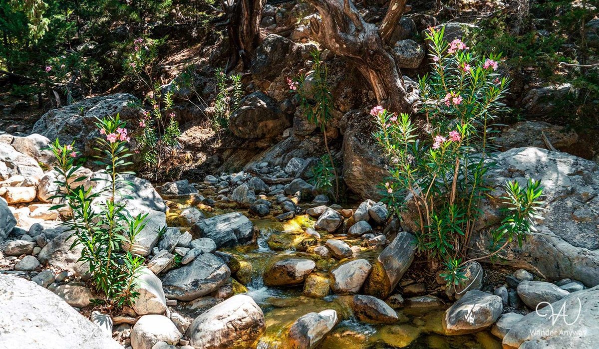 Samaria Gorge: A natural wonderland in Greece