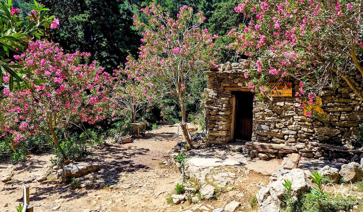 Scenic trail through Samaria Gorge, Crete