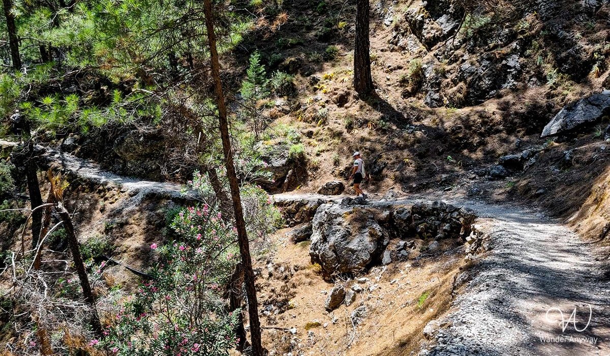 Samaria Gorge trail: A must-visit in Greece