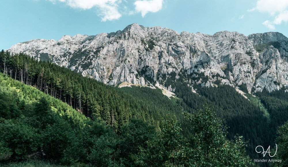 Clear view of the full Piatra Craiului ridge and surrounding greenery