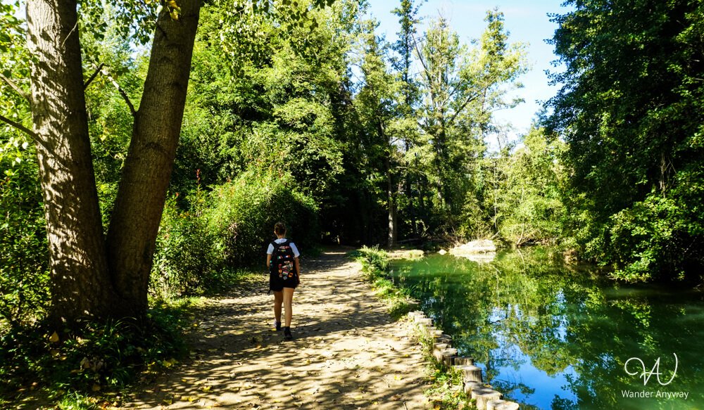 Scenic forest path along the Elsa River with a hiker on the Elsa Trail Tuscany, near Siena, Italy.