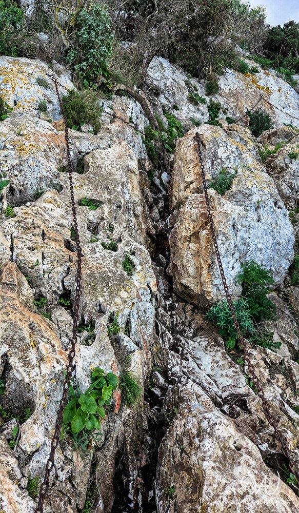 View of the rocky trail during the Peñón de Ifach hike with vegetation