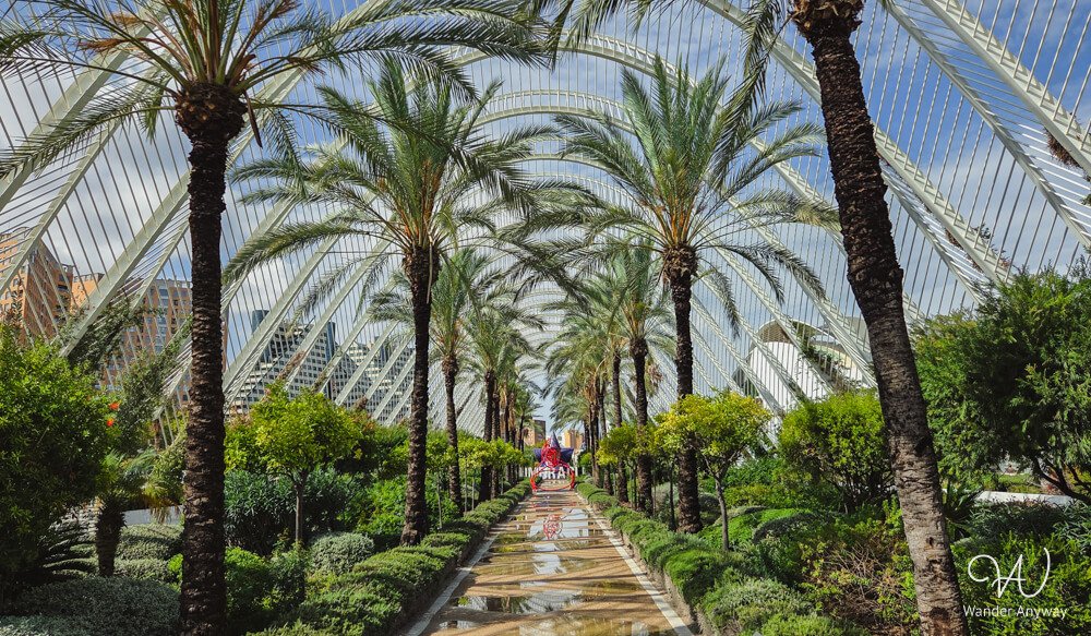 Palm trees and white arches inside El Umbracle, Valencia’s open-air garden walkway.