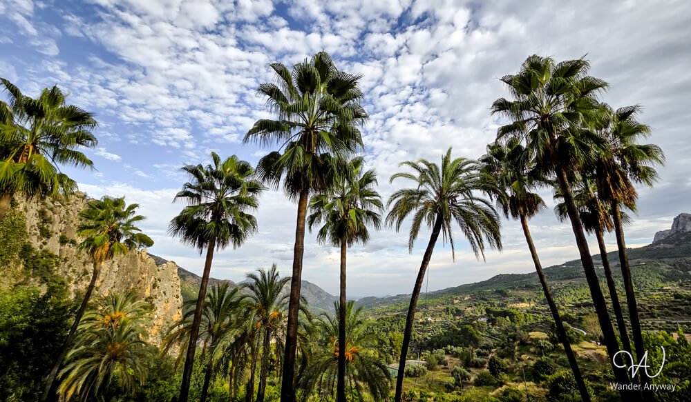 Palm trees framing the mountain scenery near Guadalest village.