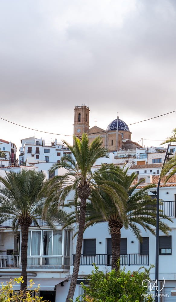 Palm trees and the old town in the background