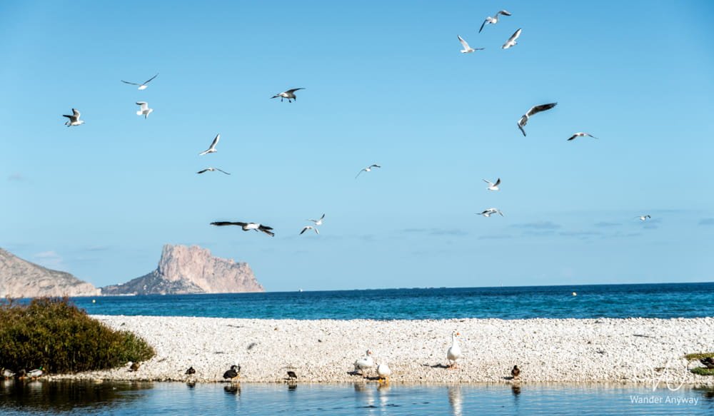 Pebble beach with clear Mediterranean water and mountain views 